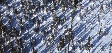 Abitibi, 2007