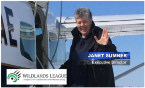 See our 32 sec commercial that aired on American Airlines in 2016